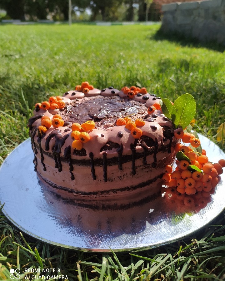 عکس کیک شیفون شکلاتی بافیلینگ موزوگردو