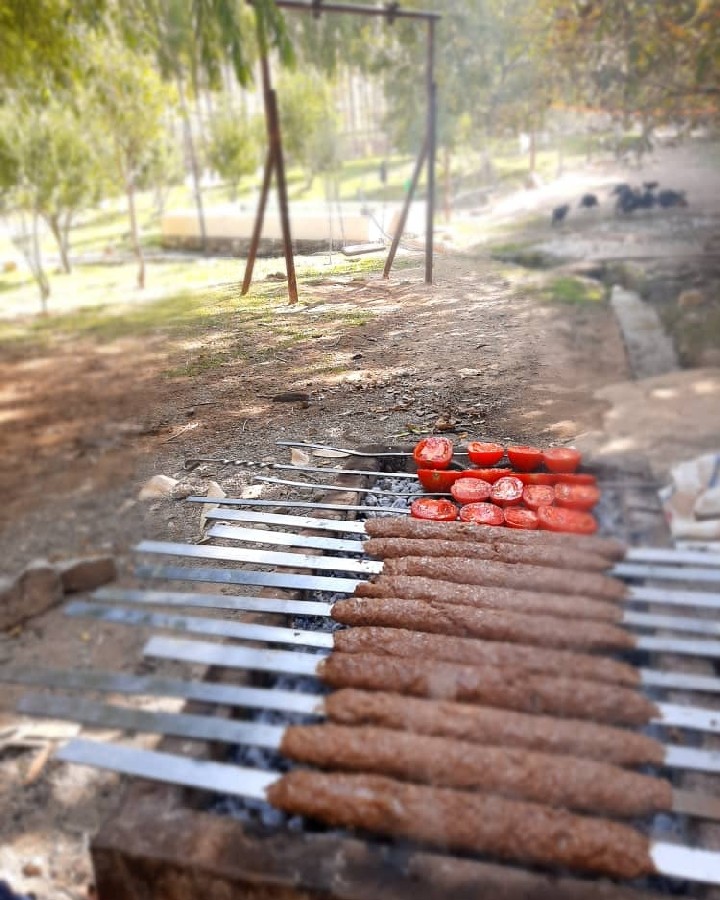 عکس ناهار آخرین جمعه تابستان