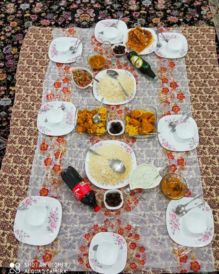 عکس مرغ دودی