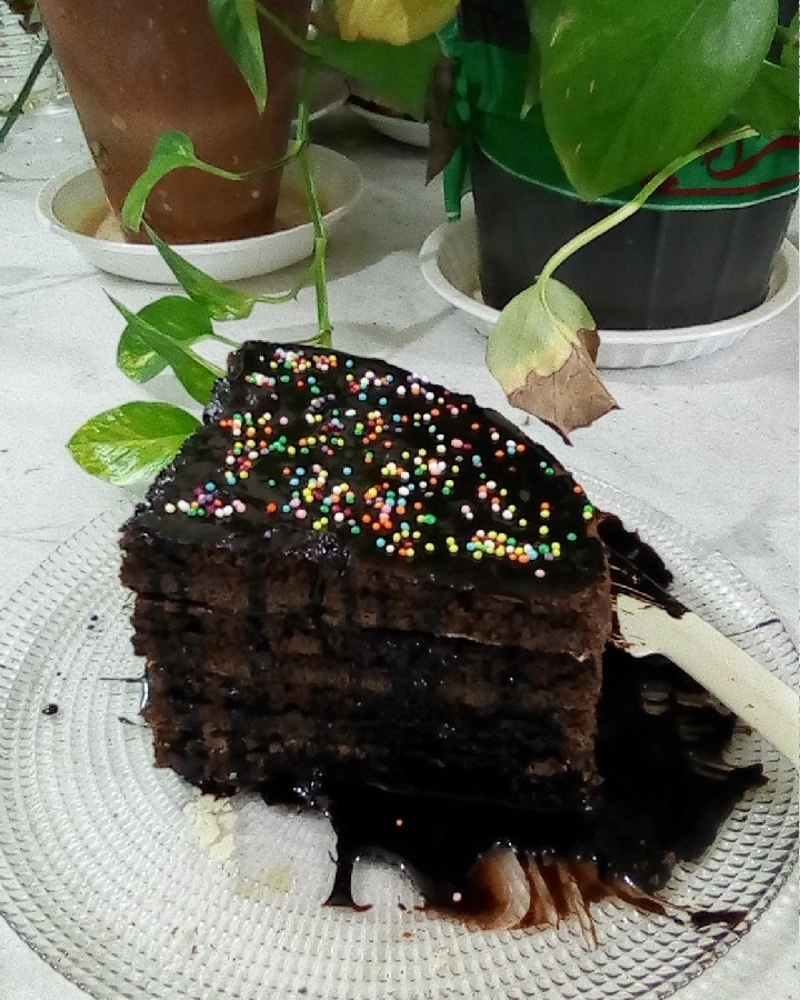 کیک اسفنجی کاکائویی