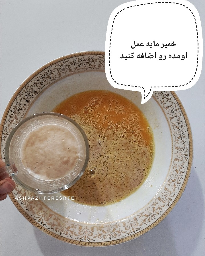 عکس جوجه چینی