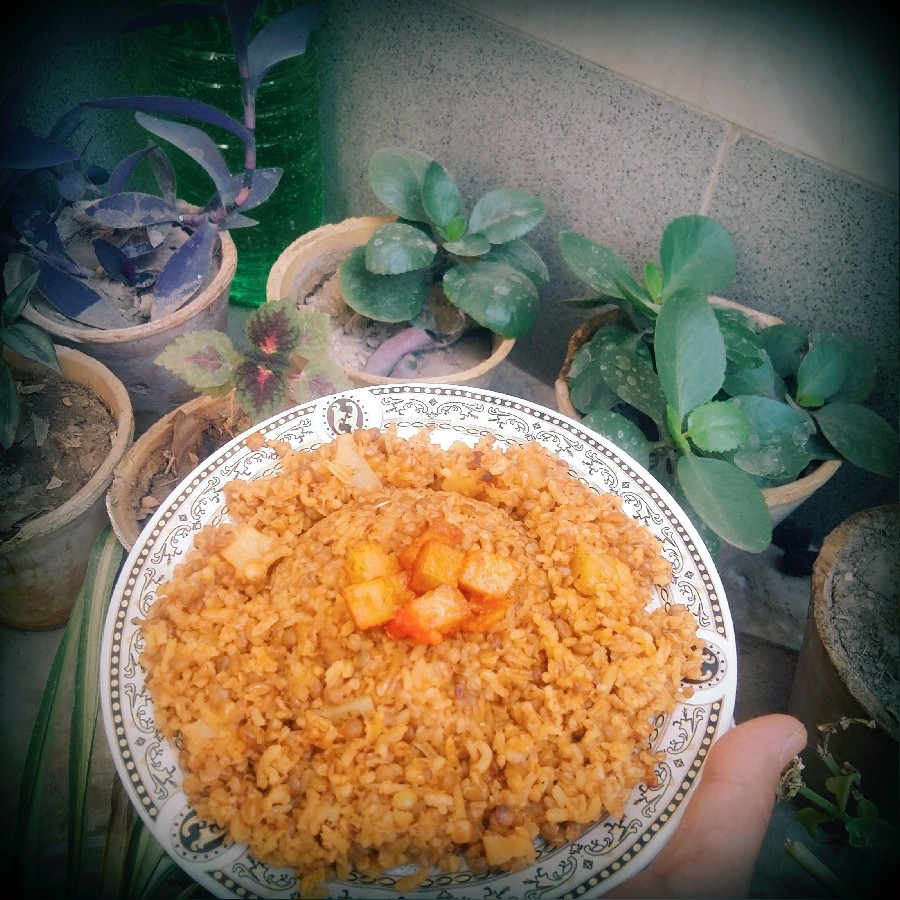 دم پخت بلغور