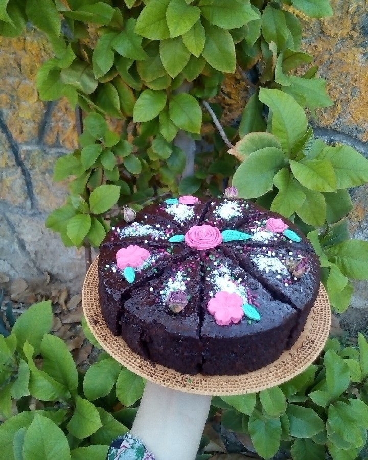 عکس کیک خیش شکلاتی