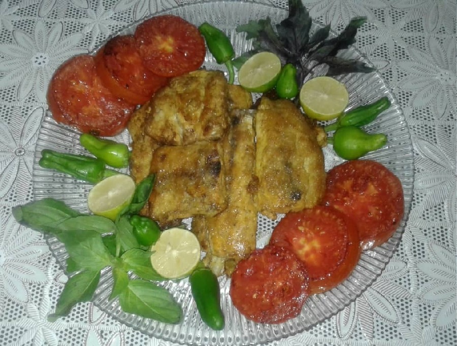 عکس خوراک ماهی