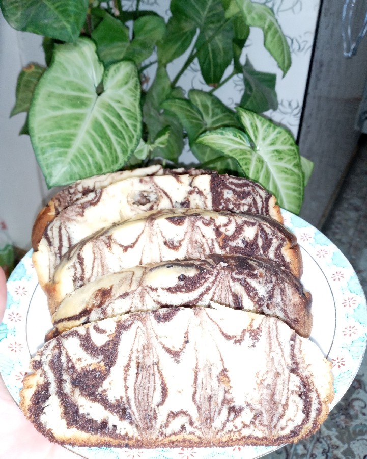 عکس کیک زبرا همراه با چای اصیل گیلان چای ذغالی جاتون سبز دوستان 