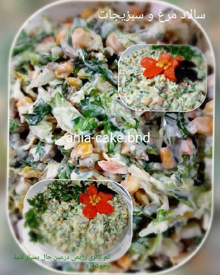 عکس سالاد مرغ و سبزیجات