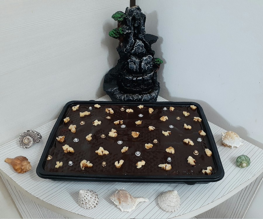 عکس کیک یخچالی و دیگر هیییچ ...