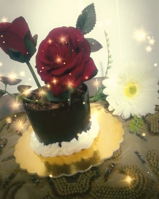 عکس کیک گلدان شکلاتی