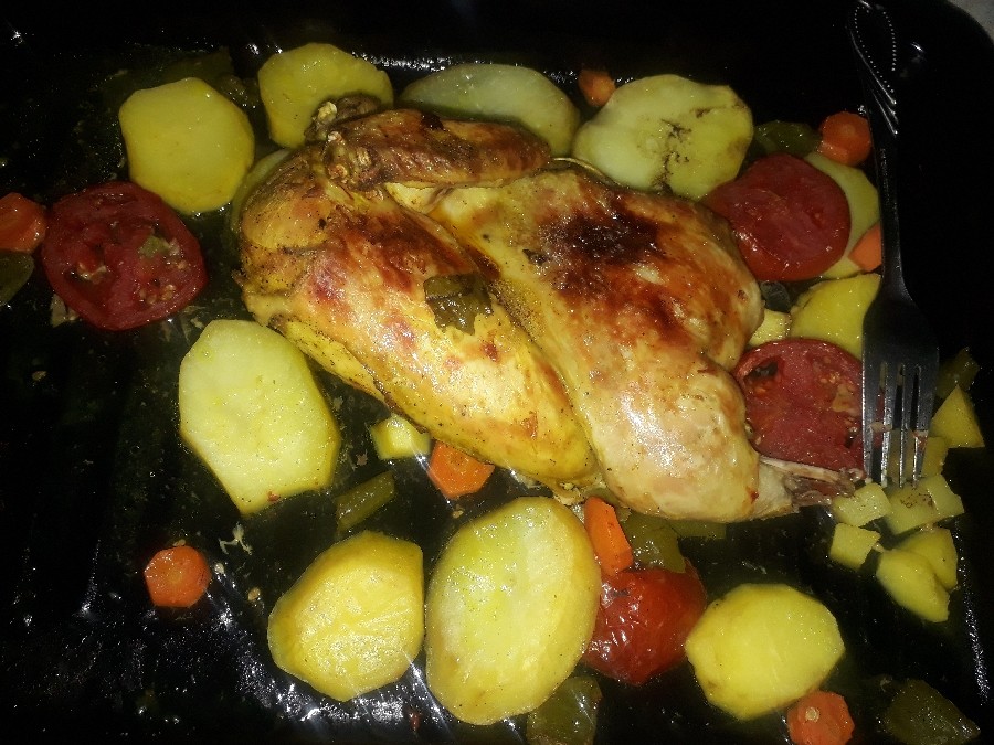 عکس مرغ توستری