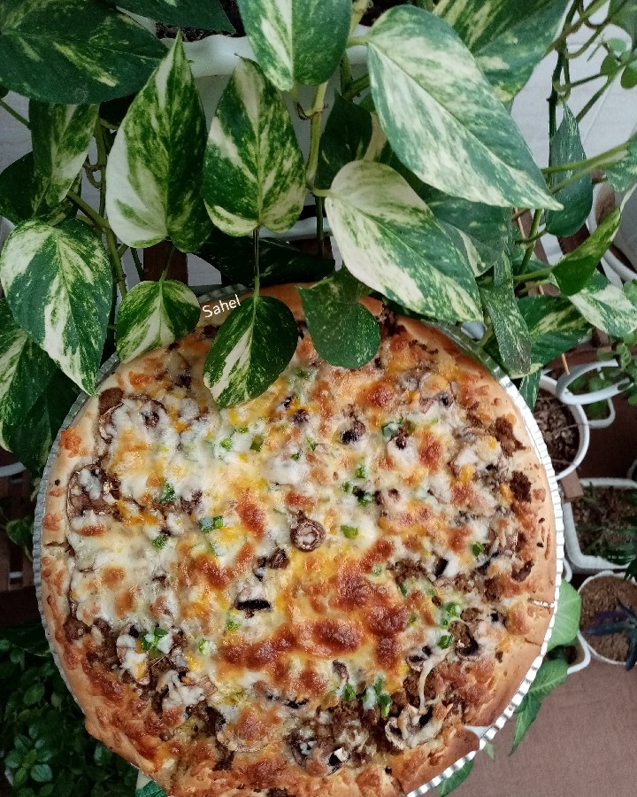 عکس Pizza یک پیتزای خانوادگی کاره خودم ساحل