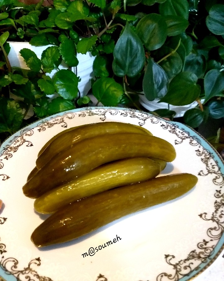 خیار_شور_خانگی