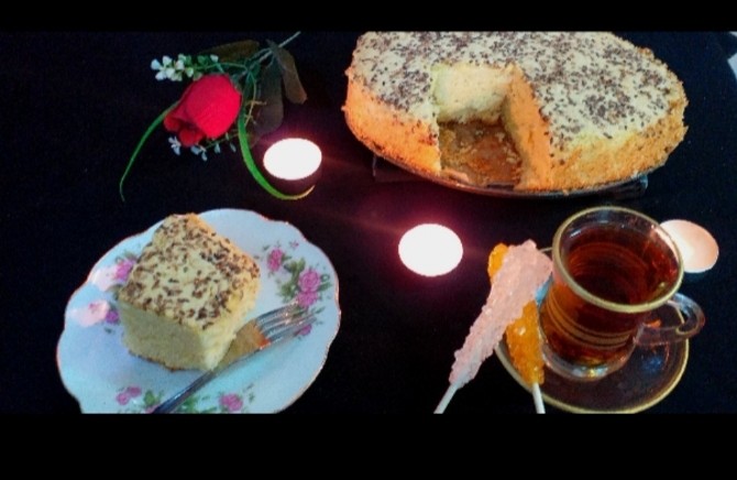 عکس چالش خانم توران برومند
