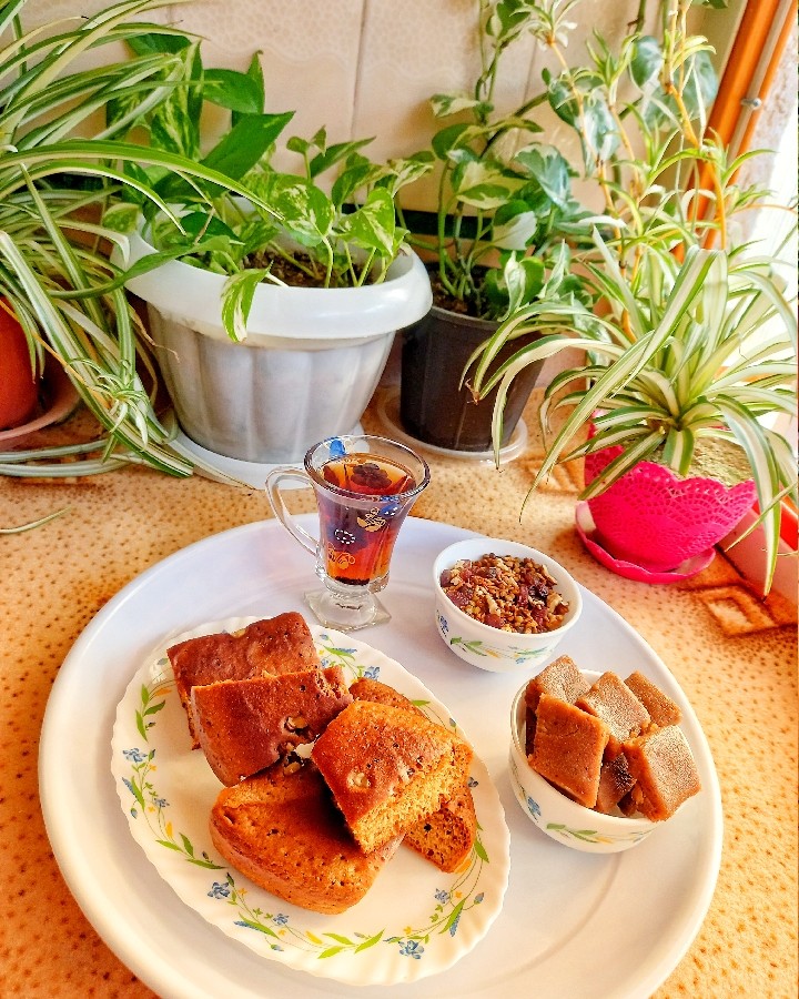 عکس کاکا شمالی