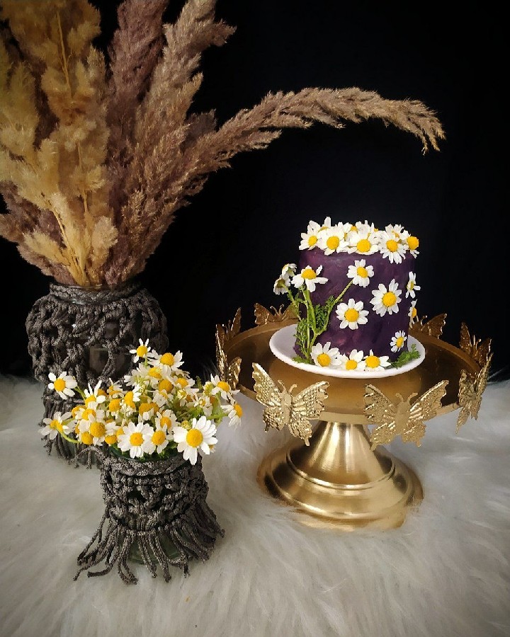 عکس کیک بابونه