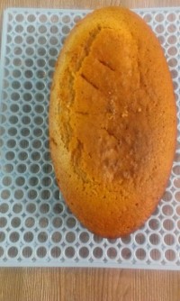کرم انجلیس