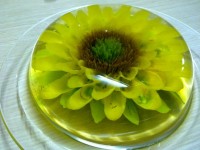 ژله تزریقی ۲