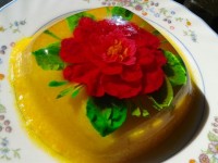 ژله تزریقی ۲