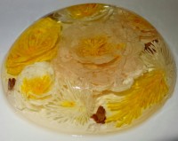 ژله تزریقی ۲