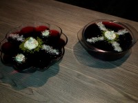 دسر ژلاتینی آلبالو