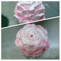 گل رز خامه ای