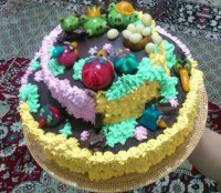 کیک انگری برد خودم دست تنهادرستش کردن برای نازنین زهرا ومحمد امینو کیانای عزیزم