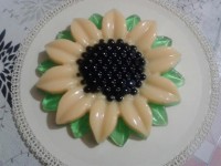 ﮊﻟﻪ ﺁﻓﺘﺎﺑﮕﺮﺩاﻥ