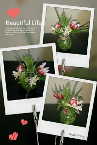 گلدون سبزی خوردن