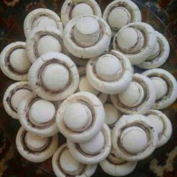 شیرینی قارچی
