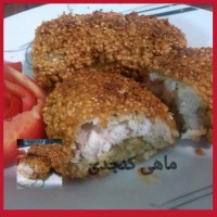 شنسیل ماهی