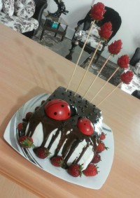 کیک باتزیین گاناش