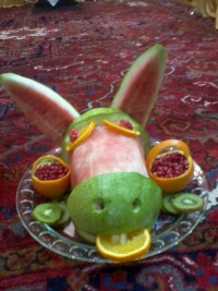 با عرض معذرت خر