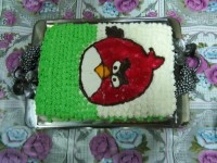 کیک انگری برد کاری از خواهری من برای جشن به دنیا اودن برادر زاده شوهرش