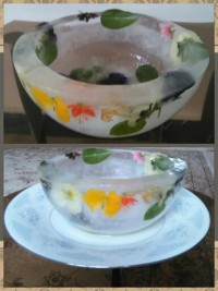 کاسه یخی.....