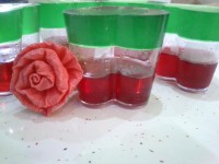 ژله ی میان تهی