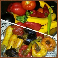 دلمہ ھاے رنگارنگ