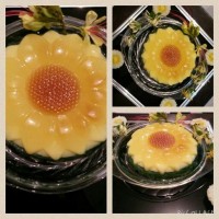 ژله آفتاب گردان