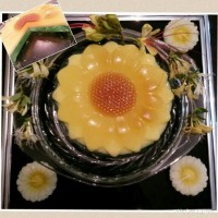 ژله آفتاب گردان وبرش خوردش