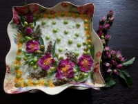 تزیین ماست وخیار