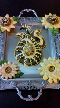 کشک بادمجون من