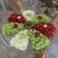 سالادشیرازی