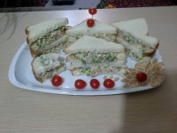 اردور مرغ و قارچ