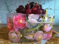 ظرف یخی برای میوه اولین بارم بود