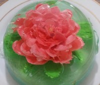 اولین ژله تزریقی من