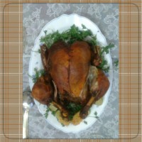 بازم مرغ شکم پر
