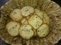 شیرینی شکلات تکه ای