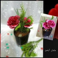 دسر گلدانی