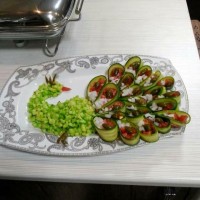 سالادشیرازی