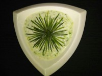 تزیین ماست وخیار