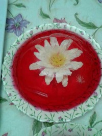 ژله تزریقی بنده برای بار اول