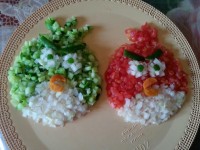 سالاد شیرازی (انگری برد)